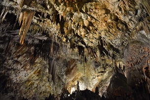 Interno grotte-di-postumia2