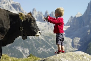 Top 10+ dei luoghi in Trentino per famiglie, Val Rendena, foto Apt Campiglio
