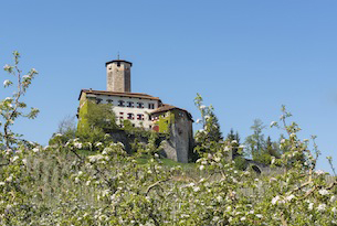 Trenino dei castelli speciale bambini, Castel Valer